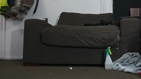 Kandy Dreams online show from 01/17/25, 06:33