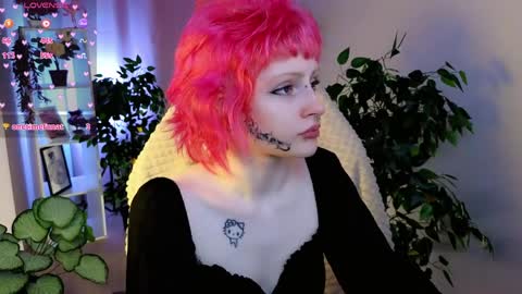 karkadeshk online show from 04/09/26, 04:23