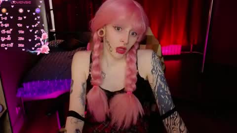 karkadeshk online show from 04/15/26, 11:17