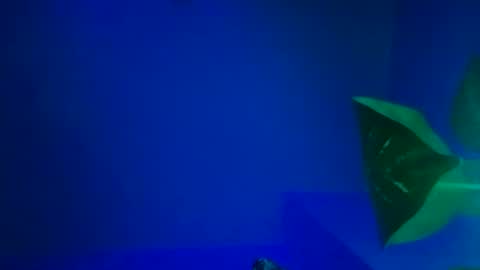 Karla Gonzaless online show from 11/09/25, 06:44