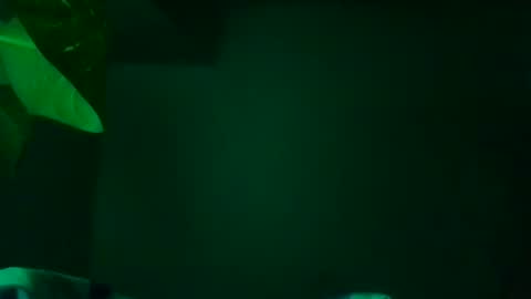 Karla Gonzaless online show from 11/13/25, 07:29