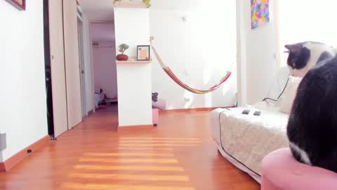 Snapshot of karlye_5 chatting on 01/22/25, 02:24 Karlye online show from 01/22/25, 02:24