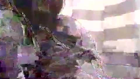 Karlos Montoya online show from 01/01/25, 10:54