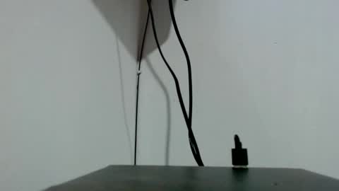 Tamires e Maicon online show from 11/03/25, 02:02