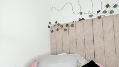           online show from 01/12/26, 08:58