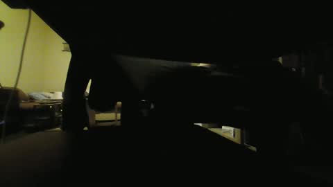 Snapshot of kaskaderns chatting on 01/29/25, 09:50 Stojko online show from 01/29/25, 09:50