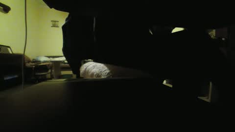 Snapshot of kaskaderns chatting on 10/18/25, 08:09 Stojko online show from 10/18/25, 08:09