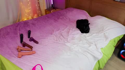 Kate  Sex-House  MILA WAYGMT2 MonTue  0300am-1500am online show from 12/05/24, 12:22