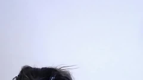 Help me with rate thanks  online show from 02/10/26, 11:20