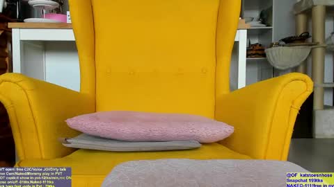    Kat - ModelIT studentnext stream  SUNDAY   PM stockholm time online show from 04/18/26, 10:41