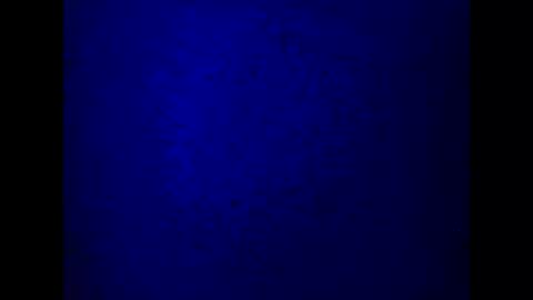 kathy online show from 03/05/25, 10:21