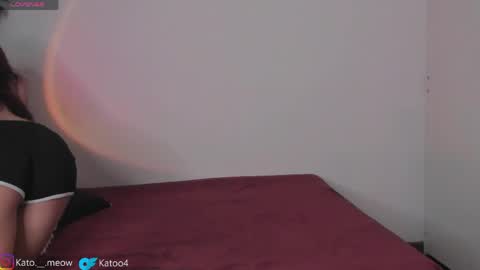 Kato online show from 04/24/26, 04:48