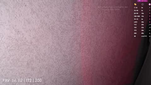 Snapshot of katrin_fox chatting on 12/25/24, 12:16 pvt open online show from 12/25/24, 12:16