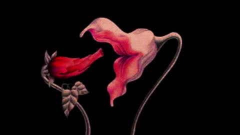 Snapshot of katsurotaro chatting on 11/14/25, 09:24 katsuro online show from 11/14/25, 09:24