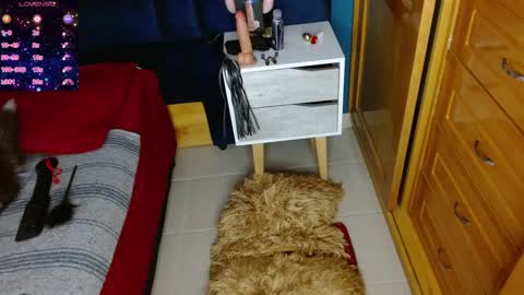 Arianna online show from 12/02/24, 07:38