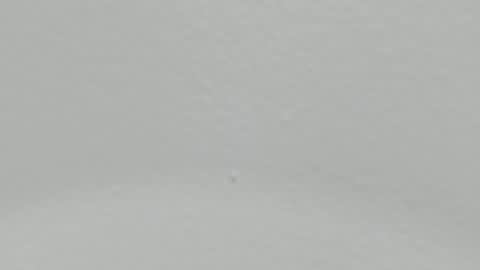 Snapshot of katy_and_paola chatting on 01/09/25, 02:01 katy blonde girl and paola big boobs online show from 01/09/25, 02:01