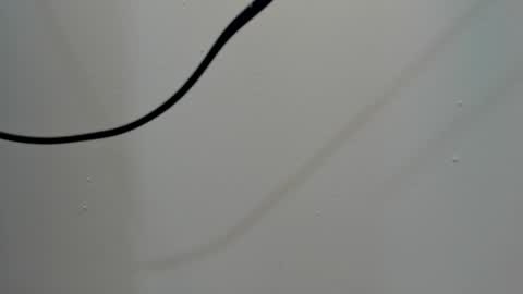 Snapshot of katy_and_paola chatting on 03/03/25, 08:00 katy blonde girl and paola big boobs online show from 03/03/25, 08:00