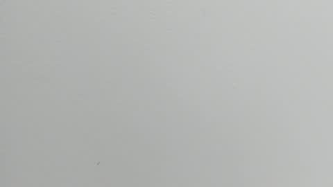 Snapshot of katy_and_paola chatting on 09/17/25, 07:37 katy blonde girl and paola big boobs online show from 09/17/25, 07:37