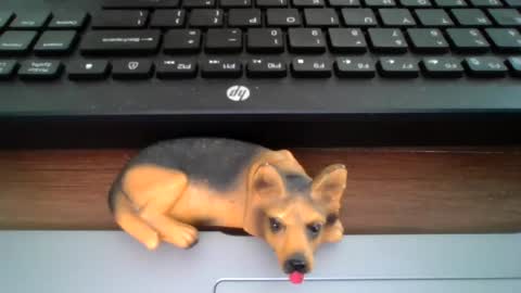 kawa98karbu online show from 06/30/26, 12:17