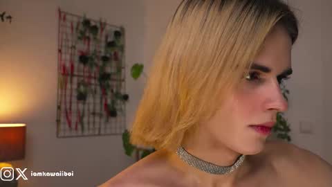 sasha online show from 02/08/25, 11:45