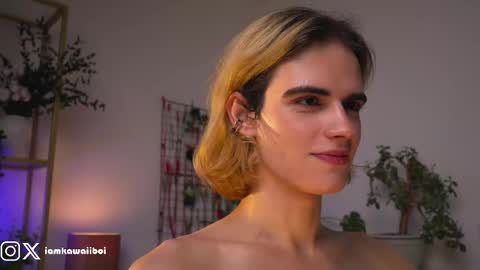 sasha online show from 02/12/25, 04:01