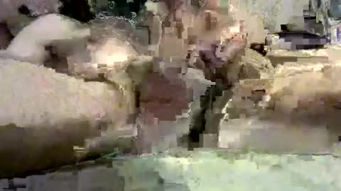 kazzarsouth online show from 03/05/25, 02:12