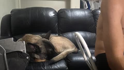 Dexter online show from 02/16/25, 11:05