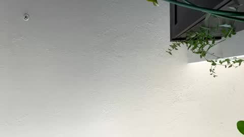 keepquietj online show from 01/17/25, 07:38