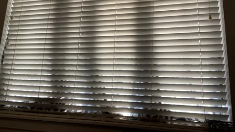 keepquietj online show from 02/07/25, 09:48