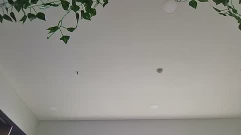 Sky-pure-Japanese online show from 04/07/26, 05:52