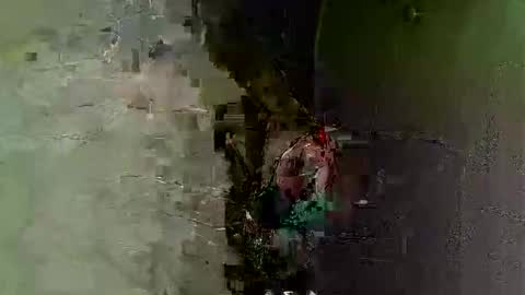 keipi online show from 12/07/24, 12:08