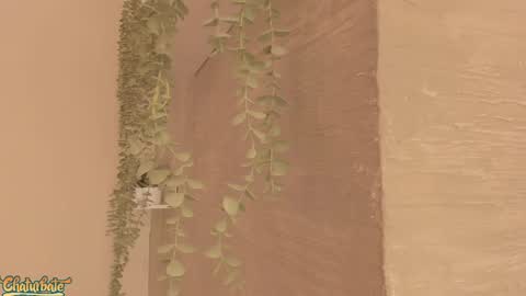 keirahartz online show from 04/16/26, 12:28