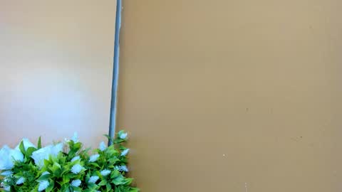 keisy_sanchez online show from 01/17/26, 11:04