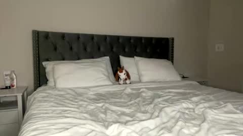 Snapshot of kekeoutlaw chatting on 02/13/26, 02:57 Kekeoutlaw online show from 02/13/26, 02:57