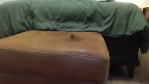 Steve online show from 03/23/26, 12:53