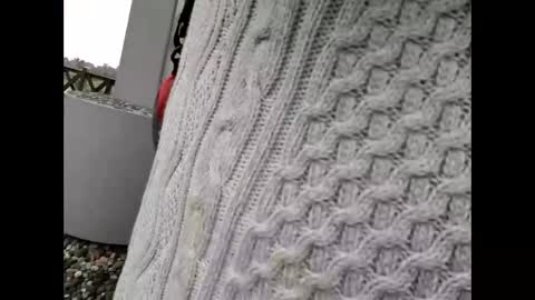 kenhiking online show from 02/19/26, 05:25