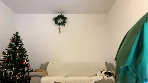 Snapshot of kennasoft chatting on 12/23/24, 01:03 Kenna next time online - 2nd of Dec online show from 12/23/24, 01:03