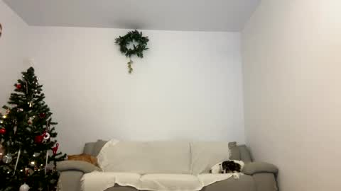 Snapshot of kennasoft chatting on 12/23/24, 04:06 Kenna next time online - 2nd of Dec online show from 12/23/24, 04:06