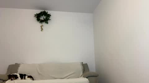 Snapshot of kennasoft chatting on 01/15/25, 12:04 Kenna next time online - 2nd of Dec online show from 01/15/25, 12:04