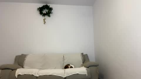 Snapshot of kennasoft chatting on 01/15/25, 06:08 Kenna next time online - 2nd of Dec online show from 01/15/25, 06:08