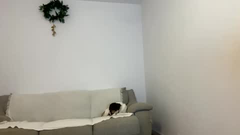 Snapshot of kennasoft chatting on 01/23/25, 03:43 Kenna next time online - 2nd of Dec online show from 01/23/25, 03:43