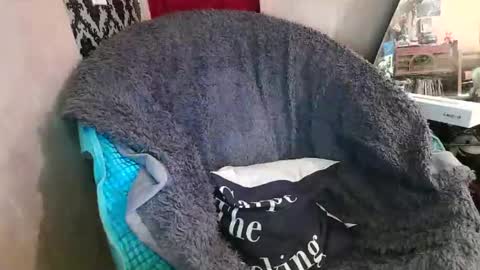 Kennedy Nova  online show from 12/20/25, 09:22