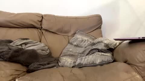 Snapshot of kevfromchat chatting on 01/08/25, 01:31 kevfromchat online show from 01/08/25, 01:31