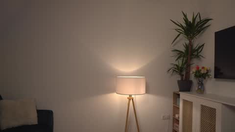 Kevin online show from 01/03/25, 11:46