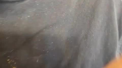 kevinevans448 online show from 09/09/25, 08:30