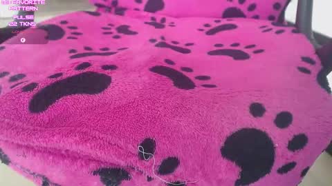 Snapshot of kevintyler69 chatting on 02/02/26, 05:00 Kevin online show from 02/02/26, 05:00