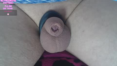 Snapshot of kevintyler69 chatting on 02/16/26, 03:08 Kevin online show from 02/16/26, 03:08