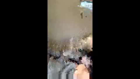 kevo495434 online show from 04/13/26, 08:14