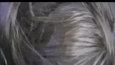 Keyla online show from 01/17/26, 04:00