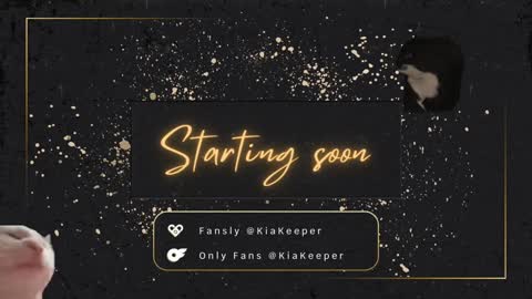 Snapshot of kiakeeper chatting on 01/03/25, 08:32 Kia online show from 01/03/25, 08:32